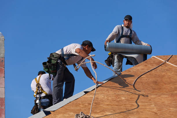 Best Roof Waterproofing Services  in Hallsville, TX