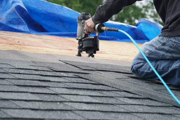 Best Storm Damage Roof Repair  in Hallsville, TX