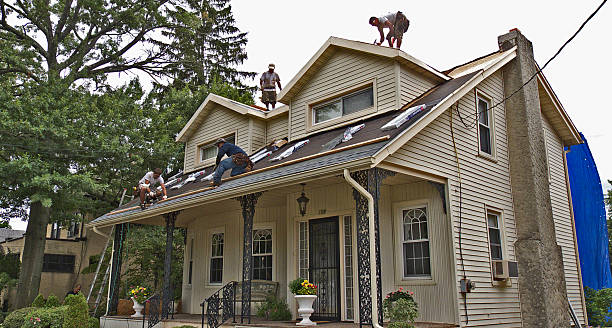 Professional Roofing Contractor in Hallsville, TX