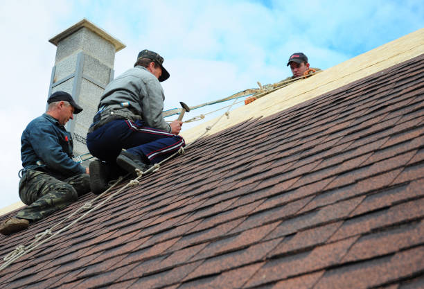 Roof Waterproofing Services in Hallsville, TX