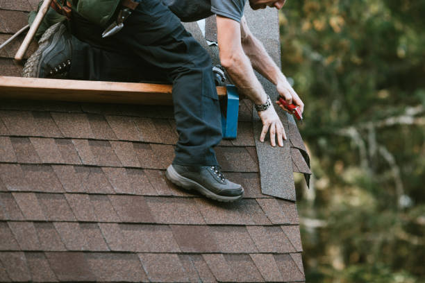 Best Roof Maintenance Services  in Hallsville, TX