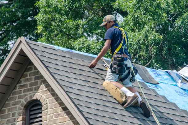Best Roof Restoration Services  in Hallsville, TX